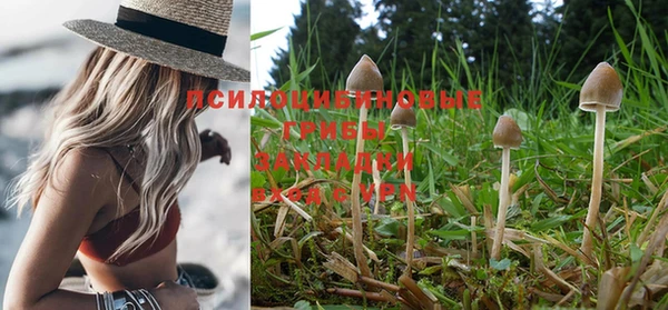 метадон Балахна