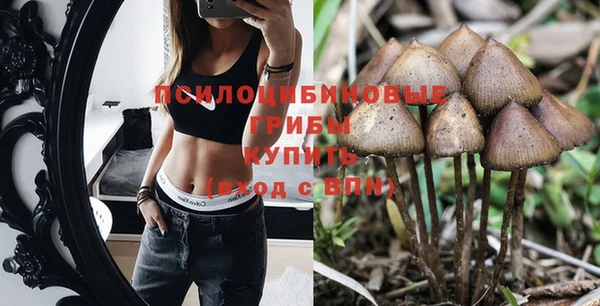 тгк Аркадак