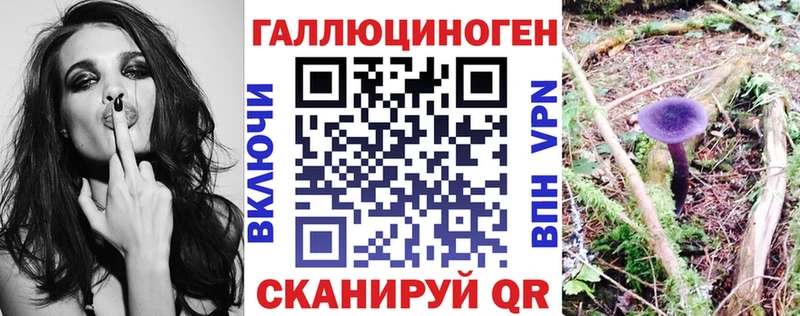 купить наркотик  Болгар  Галлюциногенные грибы GOLDEN TEACHER 
